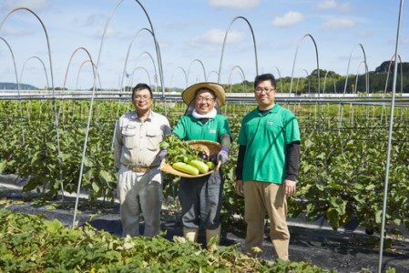 夏の特撰 詰め合わせ 10品 京つけものもり亀岡 京都府産
