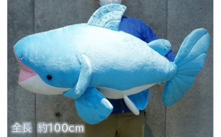 511 世界淡水魚園水族館 アクア・トトぎふ ぬいぐるみ メコン