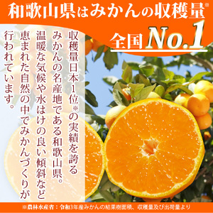 【2026年先行予約】高級ブランド 田村みかん 約5kg_G7340