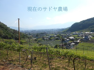 【常温便】「甲府のワイナリー」山梨県産赤ワイン2本セット（K4）K04024-C