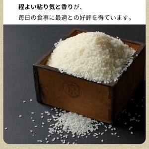 米 5kg×2袋 計10kg 京都丹波米 こしひかり 白米 ※精米したてをお届け 《契約栽培米 緊急支援 米・食味鑑定士厳選 コシヒカリ 京都丹波産 特Ａ 大人気お米 人気お米 お米 国産お米 京都府産白米 丹波産白米 白米お米 白米 国産白米 白米 精白米》 ※北海道・沖縄・離島への配送不可