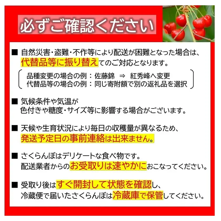 【令和9年産先行予約】 さくらんぼ 「佐藤錦」 約500g （特選 L玉） バラ詰め 《令和9年6月中旬～発送》 『最上園』 サクランボ 果物 フルーツ 産地直送 山形県 南陽市 ［989］