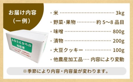 農産物直売所おススメ商品詰め合わせ （野菜 米 加工品）HAG001 野菜 米 加工品