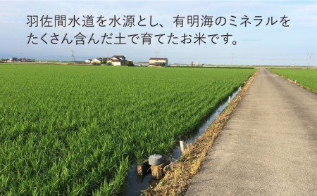 令和4年産 玄米 さがびより 30kg【武富農園】 [HAH002]特A米 特A評価 コメ 米