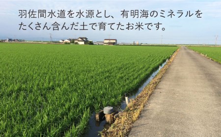 令和4年産 玄米 夢しずく 15kg【武富農園】 [HAH003]特A米 特A評価 コメ 米