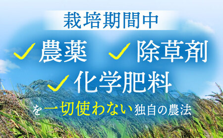 【全6回定期便】江北町産 1等米 夢しずく 玄米5kg【葦農】 [HAJ017]玄米 玄米 玄米 玄米