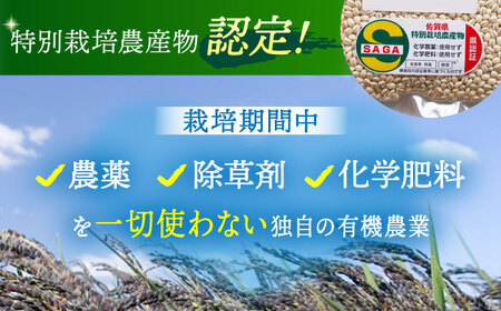 【全3回定期便】丸麦500g（1等麦使用）【葦農】 HAJ040 