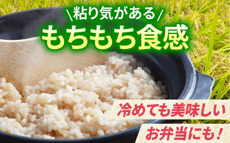 【全3回定期便】夢しずく 玄米 10kg（5kg×2袋）【江頭農園】  [HAU009]特A 特A評価 コメ お米 特A米
