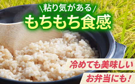 【全12回定期便】夢しずく 玄米 10kg（5kg×2袋）【江頭農園】  [HAU011]特A 特A評価 コメ お米 特A米