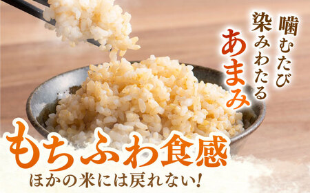 【特別栽培米】令和7年産さがびより 玄米 30kg 【ももさき農産】  [HCG001]