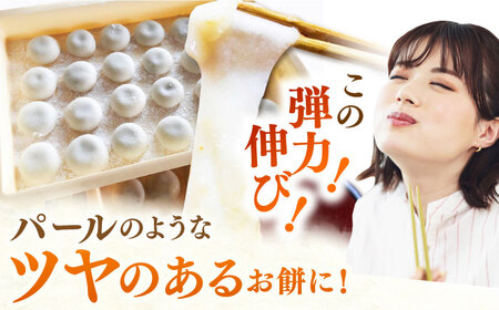 ヒヨクモチ 精米（5kg×2袋）【ももさき農産】 [HCG003]もち