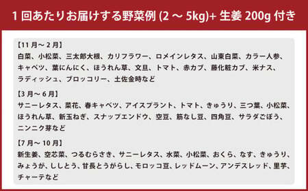 【定期便6回】旬の野菜の詰め合わせと栽培期間中農薬不使用の生姜200g付き 詰め合わせ 野菜セット 野菜 ギフト やさいセット お取り寄せグルメ 家庭用 旬野菜 新鮮 特産 農薬不要 食材