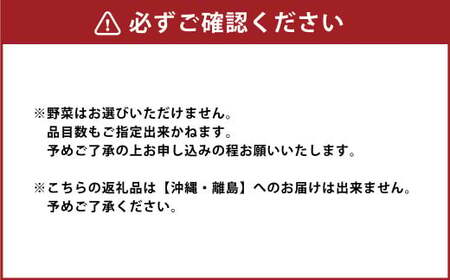 旬の野菜の詰め合わせと栽培期間中 農薬不使用の生姜200g付き 詰め合わせ 野菜セット 野菜 ギフト やさいセット お取り寄せグルメ 家庭用 旬野菜 新鮮 特産 農薬不要 食材