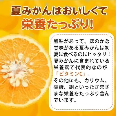 夏みかん 7.2kg［2027年4月中旬頃から発送］［先行予約］［UT73］