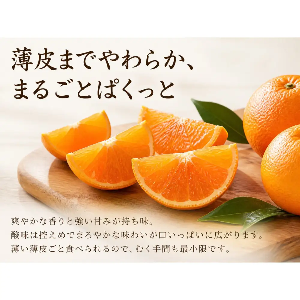 紀州和歌山有田産ポンカン　５ｋｇ［2027年2月上旬頃から2027年2月下旬頃に順次発送］［UT20］