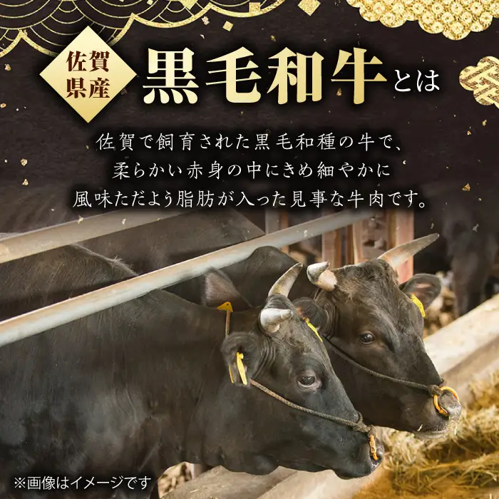 【3回定期便】佐賀県産 黒毛和牛 サーロインステーキ 2.5kg / ステーキ [IAG096]