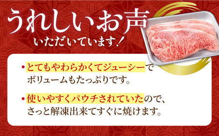 【6回定期便】佐賀県産 黒毛和牛 サーロインステーキ 1.2kg / ステーキ [IAG106]
