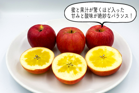 【2026年発送】山形のりんご（高徳）約3kg_H140(R8)