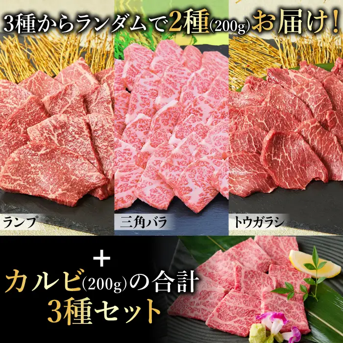 佐賀牛 希少部位含むおまかせ焼肉セット3種400g牛肉 希少 赤身 カルビ[FAY064]