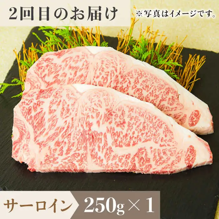【全6回定期便】1ヶ月に1度の佐賀牛ひとり贅沢コース ステーキ/焼肉/スライス 牛肉 希少 赤身 カルビ ヒレ サーロイン モモ 切り落とし[FAY066]