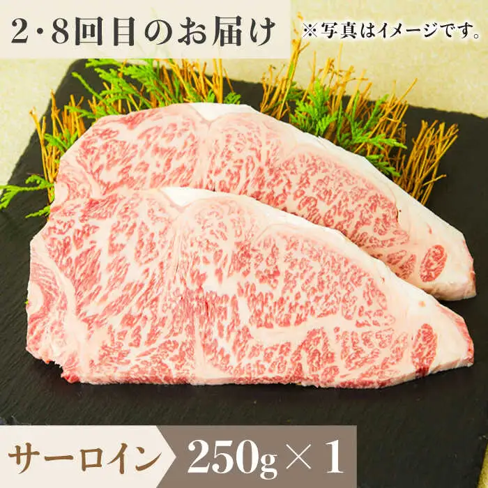 【全12回定期便】1ヶ月に1度の佐賀牛ひとり贅沢コース ステーキ/焼肉/スライス牛肉 希少 赤身 カルビ ヒレ サーロイン モモ 切り落とし[FAY067]