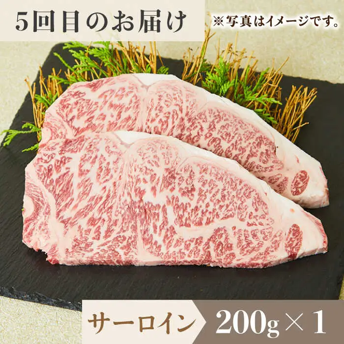 【全6回定期便】佐賀牛希少部位?ひとり贅沢ステーキコース? イチボ/ランプ/ミスジ/クリ/サーロイン/シャトーブリアン【ミートフーズ華松】 ブランド 高級 和牛 霜降り やわらか 冷凍 料理  精肉 牛肉 希少 赤身 イチボ ランプ ミスジ [FAY069]
