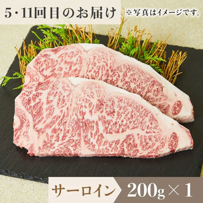 【全12回定期便】佐賀牛希少部位?ひとり贅沢ステーキコース? イチボ/ランプ/ミスジ/クリ/サーロイン/シャトーブリアン【ミートフーズ華松】 ブランド 高級 和牛 霜降り やわらか 冷凍 料理  精肉 牛肉 希少 赤身 イチボ ランプ ミスジ [FAY070]