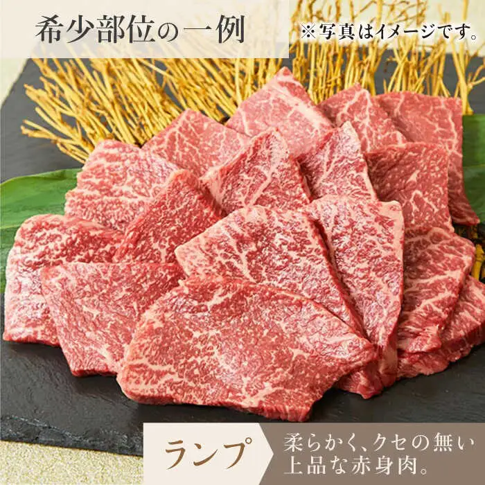 【全6回定期便】佐賀牛希少部位含む?ひとり贅沢焼肉コース? ランプ/クリ/トウガラシ/ザブトン/カイノミなど【ミートフーズ華松】 ブランド 高級 和牛 霜降り BBQ やわらか 冷凍 料理  精肉 牛肉 希少 赤身 イチボ ランプ ミスジ [FAY072]