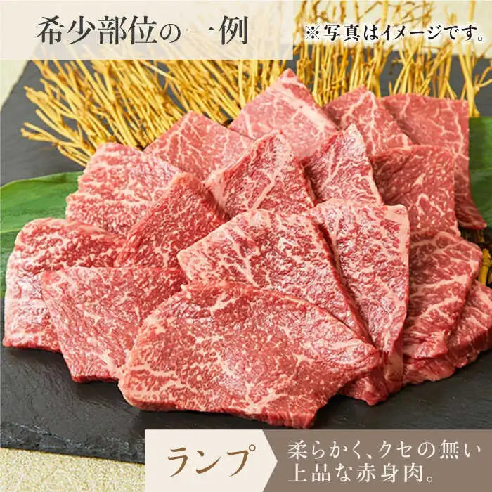 【全12回定期便】佐賀牛希少部位含む?ひとり贅沢焼肉コース? ランプ/クリ/トウガラシ/ザブトン/カイノミなど【ミートフーズ華松】 ブランド 高級 和牛 霜降り BBQ やわらか 冷凍 料理  精肉 牛肉 希少 赤身 イチボ ランプ ミスジ [FAY073]