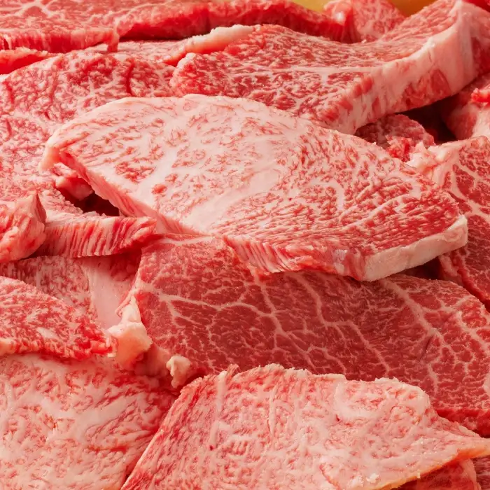 【A5】鳥取和牛ふぞろい焼肉切り落とし 500g【肩ロース サーロイン 三角バラ ランプ ヒレ ランダム 焼き肉 やきにく 切落し 切り落し 和牛 不揃い ご自宅用 ギフト 熨斗 プレゼント お取り寄せ グルメ 冷凍】