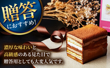 【2回定期便】＜ニッポン全国おやつランキンググランプリ受賞＞長崎石畳ショコラ ハーフサイズ 2個 / ショコラ しょこら チョコレート ちょこれーと チョコ ちょこ チョコレートケーキ チョコケーキ けーき / 諫早市 / ネオクラシッククローバー [AHBS012]