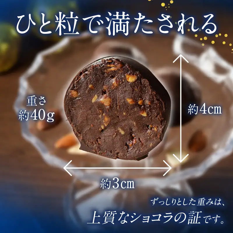 ラムショコラ　10個入り_B128-001