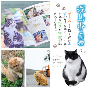 深島ねこ図鑑vol.2 (1冊) 猫 ねこ 写真集 本 雑誌 書籍 深島 猫の島 グッズ 大分県 佐伯市 【HD68】【さいき本舗 城下堂】
