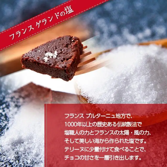 無地熨斗 テリーヌ・ド・ショコラ フランスゲランド塩付き 1本 テリーヌ ショコラ 濃厚 チョコレート チョコ 塩 洋菓子 焼き菓子 菓子 お菓子 スイーツ 贈り物 プレゼント ギフト エイセンドウ 新潟県 南魚沼市