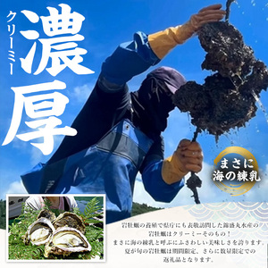 夏に美味い岩がき 約3.0kg （殻の重量含む）【錦盛丸水産】kinsei-7169