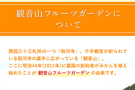 観音山みかん(とろコク一番人気) 4kg
