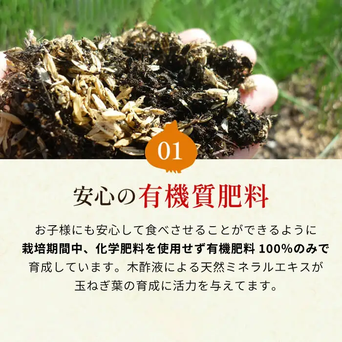 今井ファームの淡路島たまねぎ「かくし玉」 2kg　玉ねぎ