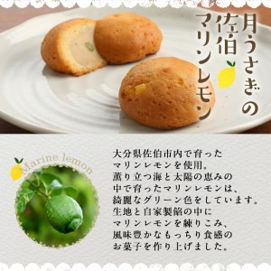 月うさぎの佐伯マリンレモン (計15個) レモン レモンケーキ スイーツ スウィーツ 菓子 焼き菓子 洋菓子 おやつ セット 個装 大分県 佐伯市【ER003】【古川製菓】