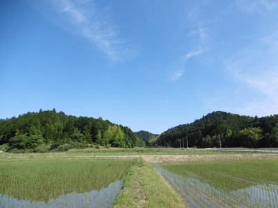 FY-031　大師の里のコシヒカリ10㎏（令和6年産）