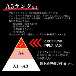 牛肉 黒毛和牛 ローススライス 500g+ピリ辛ぽん酢セット 生活応援 牛肉