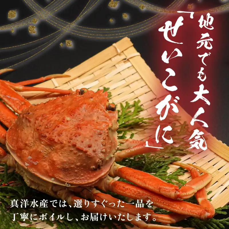 【先行予約】ボイルせいこがに 5杯 《 獲れたての味！》 ／期間限定 茹で ボイル 冷蔵 蟹 カニ 福井県 あわら市 海鮮 冬 旬 ※2026年11月中旬～2026年12月下旬の間で順次発送 [aw002-x001]