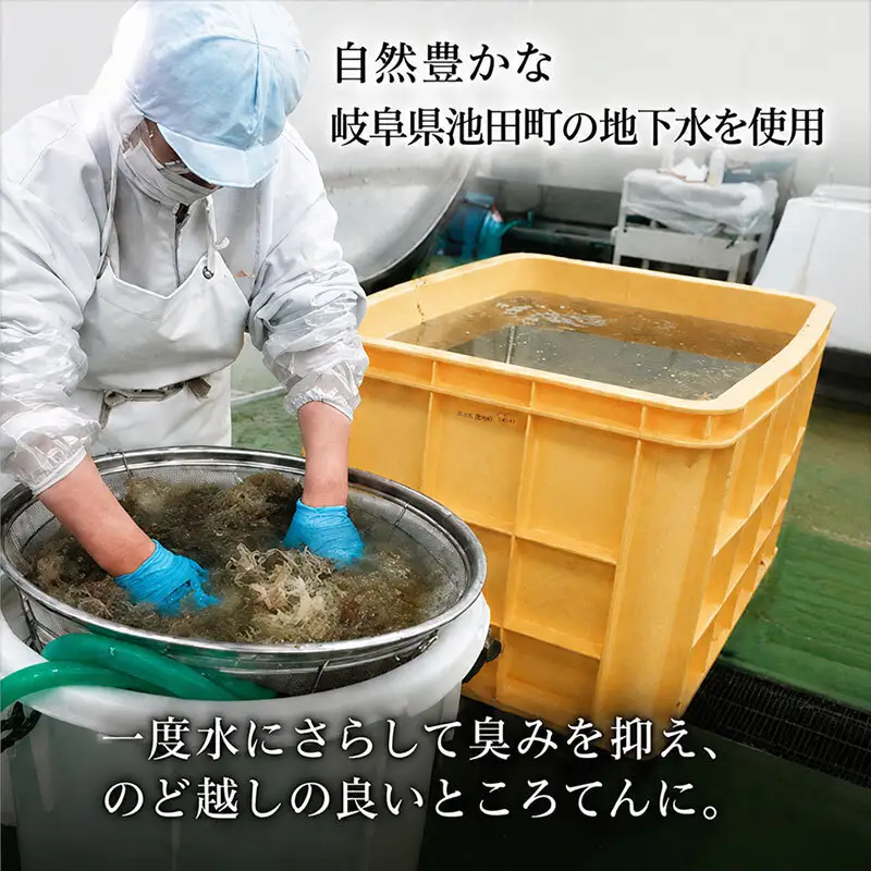 ところてん 昔ながらの手突きさらし トコロテン 1袋2パック×12袋 セット 三杯酢味 伊豆 天草 100% ところ天 心太 スイーツ お菓子 菓子 おやつ デザート 和菓子 加工食品 岐阜県池田町 