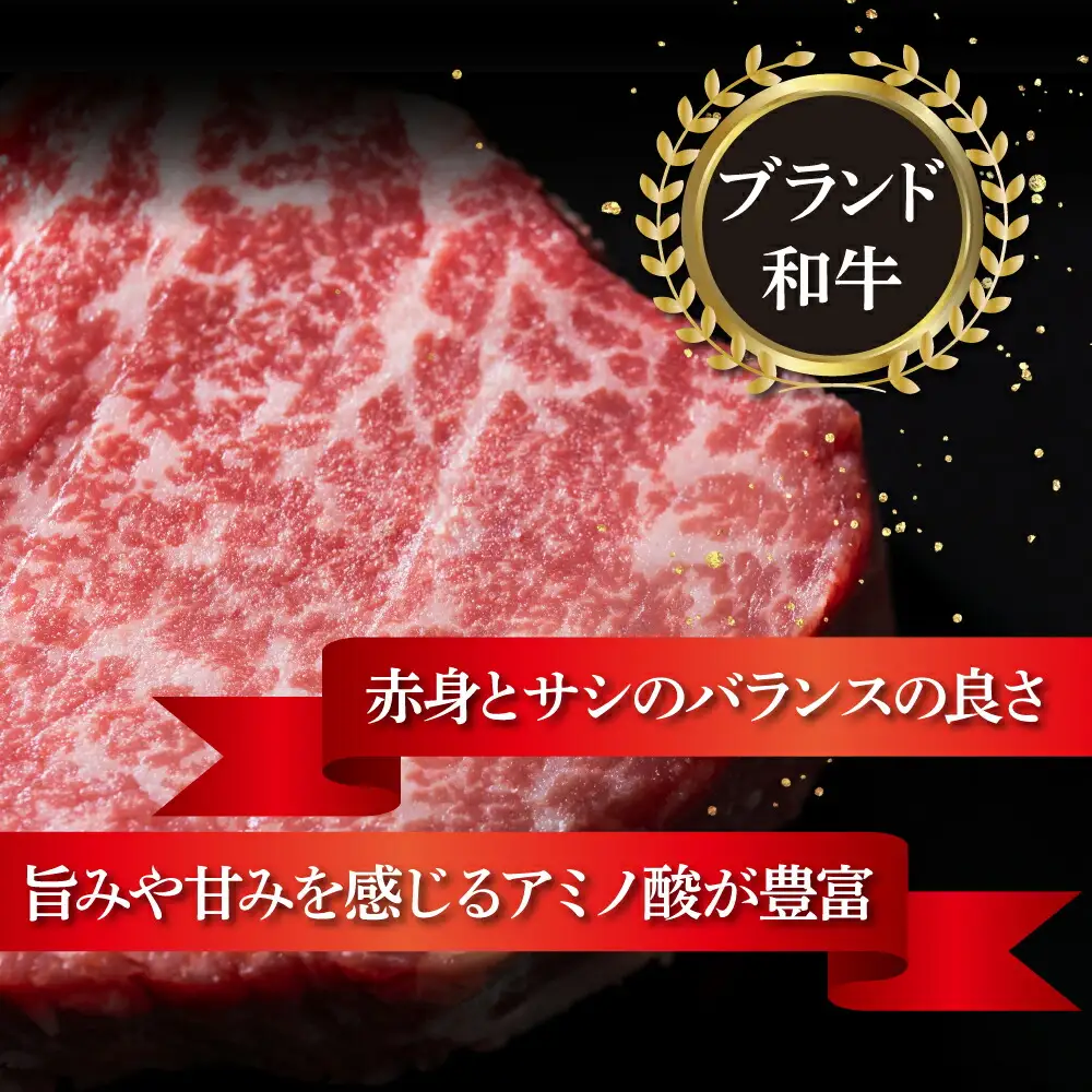 湯煎するだけ！土佐あかうしと四万十ポークのハンバーグ　１０個セット