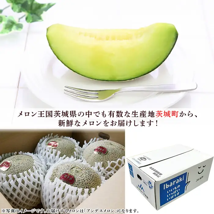 082-2 オトメメロン 秀品 3～5玉 約5kg 茨城県 JA水戸産