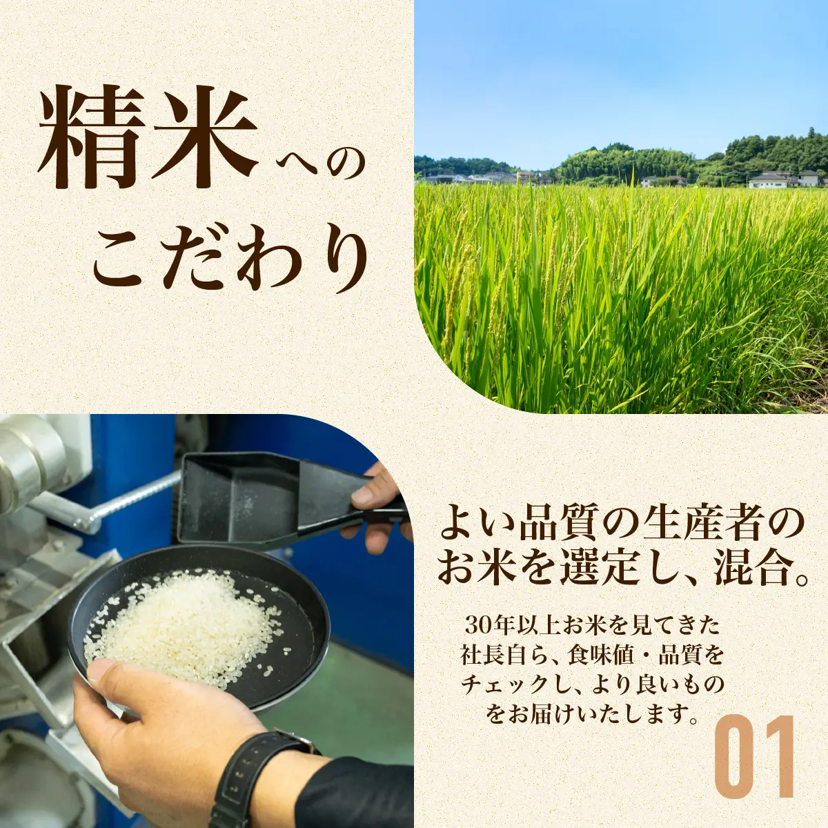 193【令和7年産】茨城県産 ふくまる 10kg(5kg×2袋)【石崎商店】