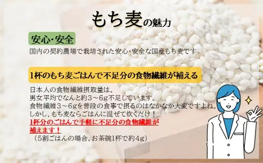 国産もち麦12kg《1kg×12個セット》雑穀 お米に混ぜて炊くだけ！小分けパック ダイエット 食物繊維  送料無料 No.138