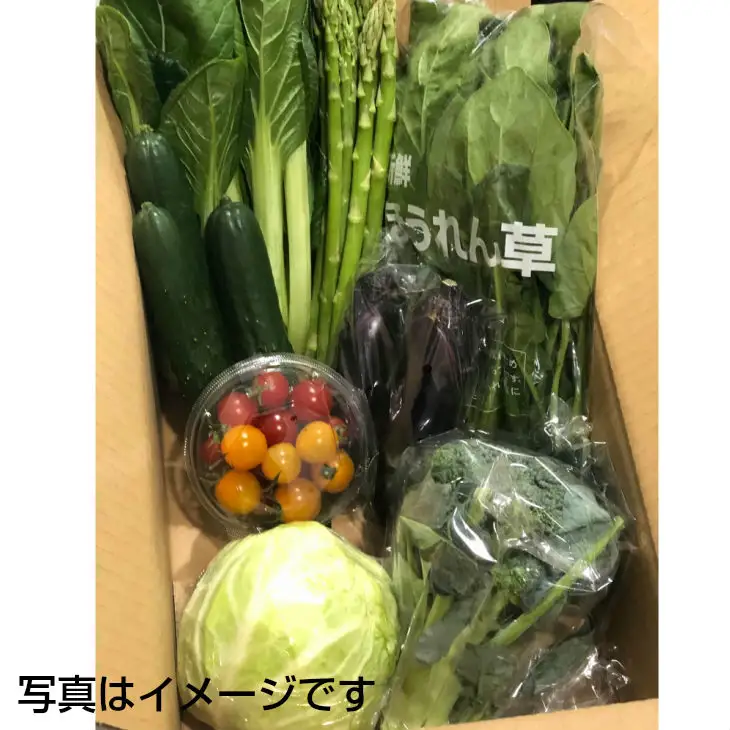 イーハトーヴ野菜A お試しセット 6品～【029】