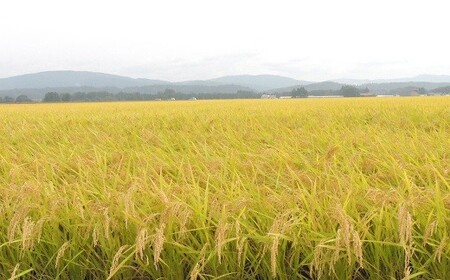 【６ヶ月定期便】岩手花巻産ひとめぼれ「健土健米」５㎏ 【306】