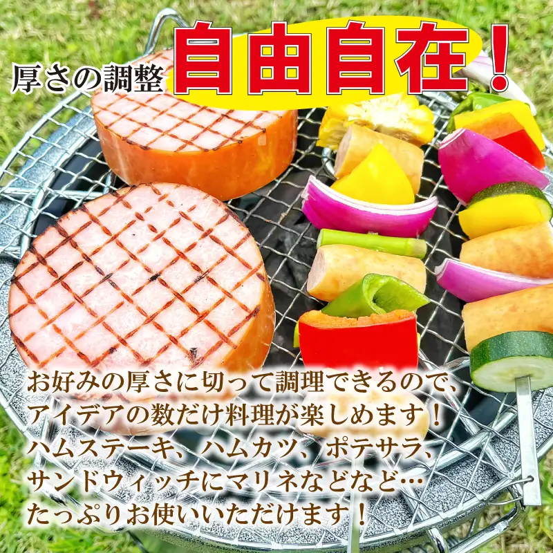 ロースハムロングL1.7kg ／ ハム原木 原木ハム 業務用 ハムブロック 原木 BBQ 【946】