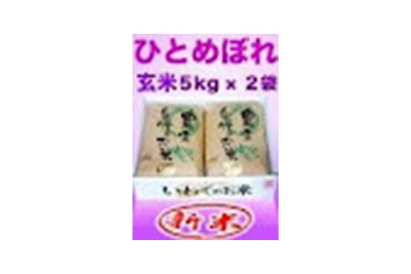 ≪令和7年産≫【12ヶ月定期便】減農薬栽培 ひとめぼれ 玄米 10kg（5kgx2袋） 【1113】